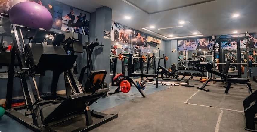Rows of well-maintained gym equipment and weight plates